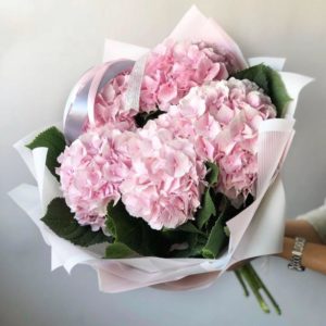 Купить букет гортензии в ДНР